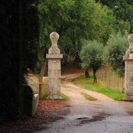 Quinta Do Cerquito Villa Ferreira do Zêzere Kültér fotó