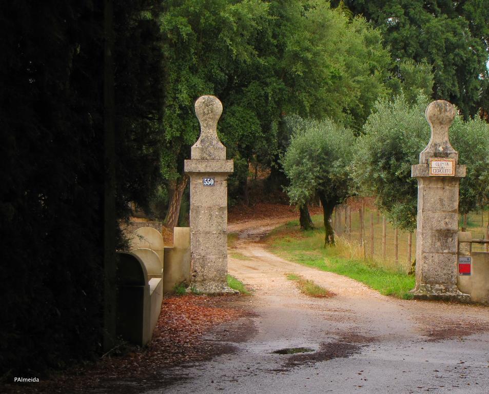 Quinta Do Cerquito Villa Ferreira do Zêzere Kültér fotó