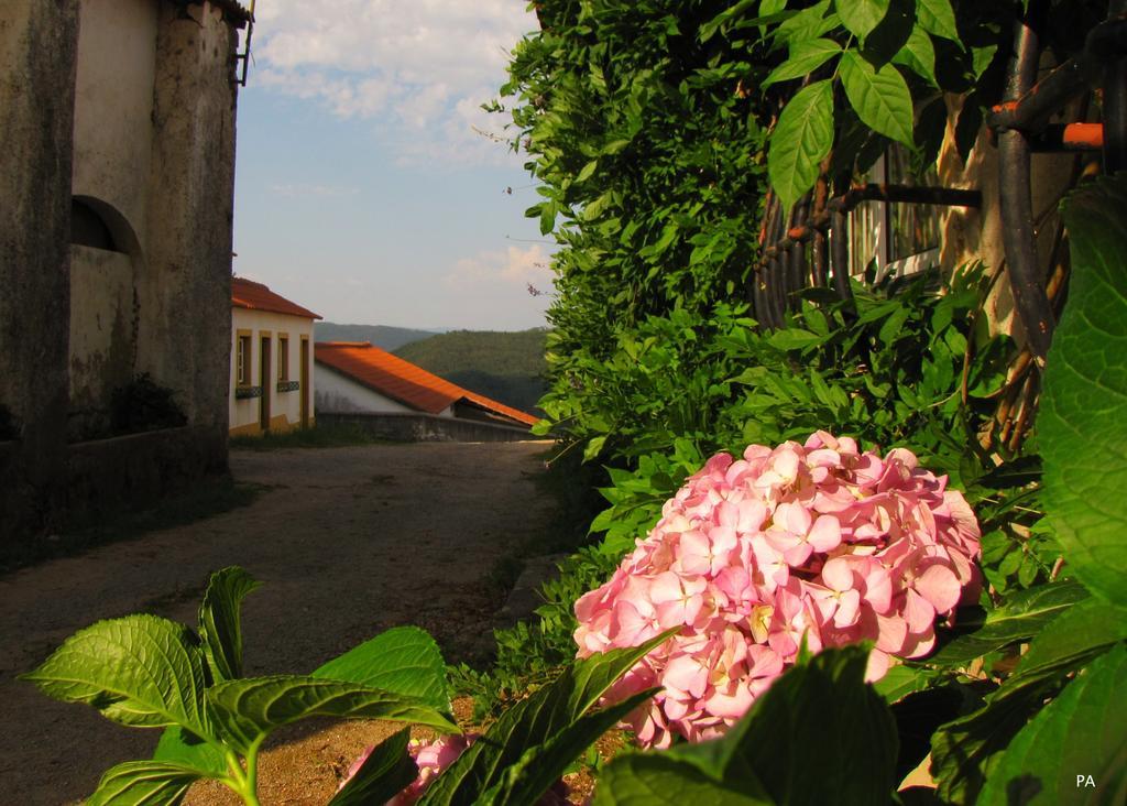 Quinta Do Cerquito Villa Ferreira do Zêzere Kültér fotó