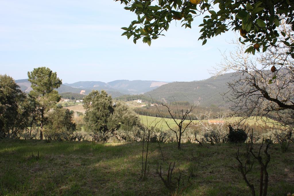 Quinta Do Cerquito Villa Ferreira do Zêzere Kültér fotó