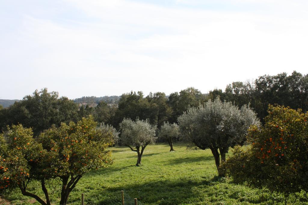 Quinta Do Cerquito Villa Ferreira do Zêzere Kültér fotó