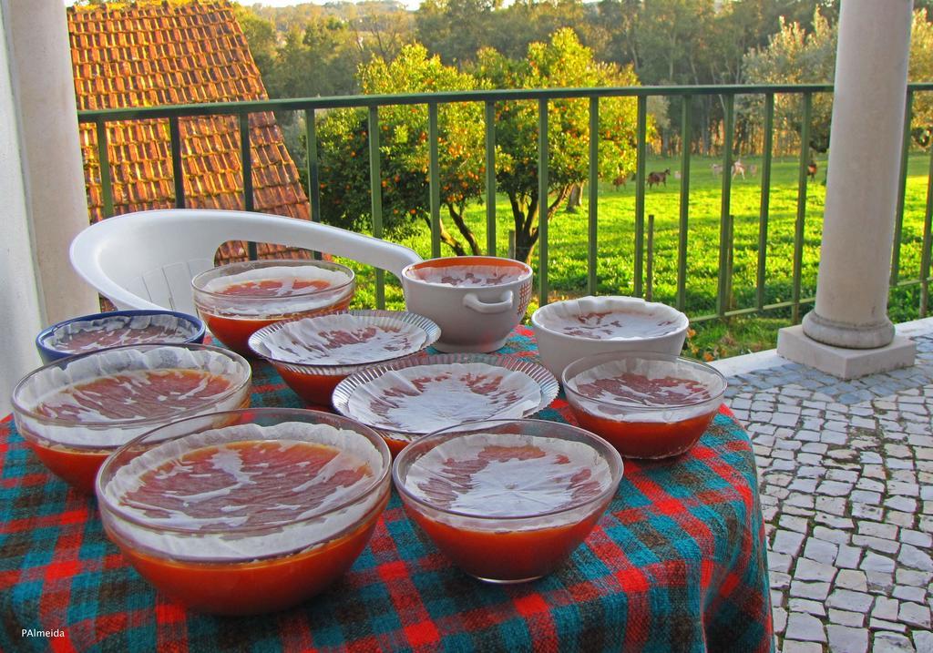 Quinta Do Cerquito Villa Ferreira do Zêzere Kültér fotó