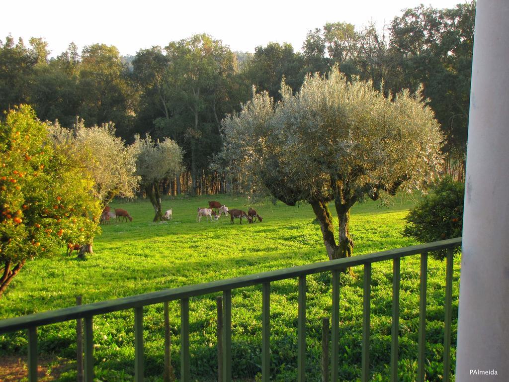 Quinta Do Cerquito Villa Ferreira do Zêzere Kültér fotó